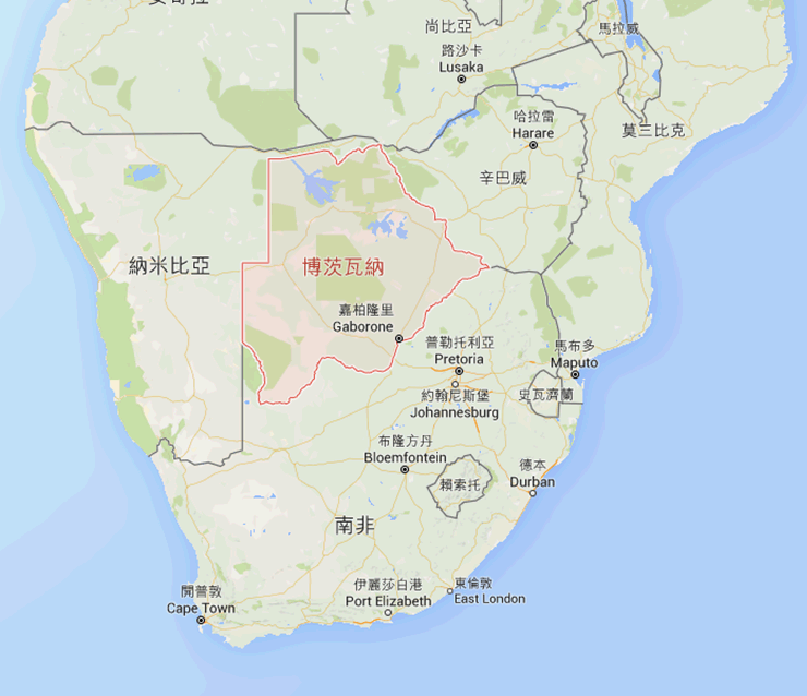 護傢聯盟爆氣！非洲同性獅子交配照外流 攝影師：覺得溫馨